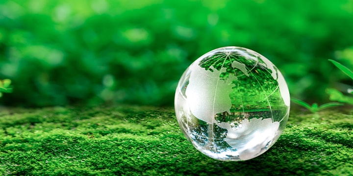 バイオマス燃料