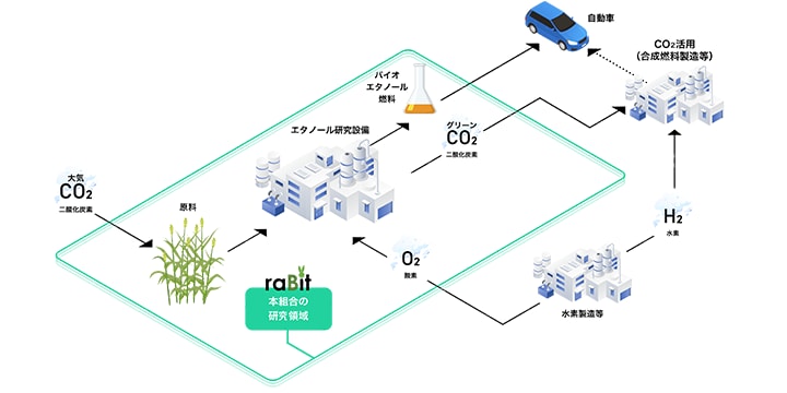 raBitの取組み