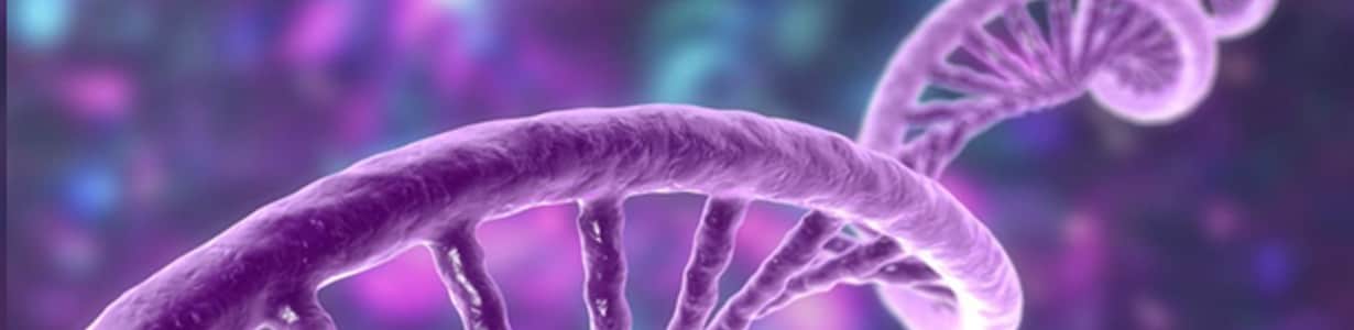 bnr_mrna_top