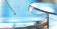 cellculture