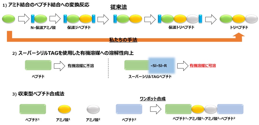 研究内容についてお聞かせください