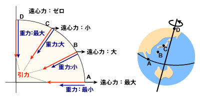 図解