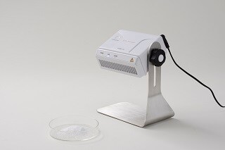 人気作者黒岩卓実作織部焼赤色浅皿イロハモミジ/大株立ち【現品