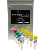 Transdirect™ insect cell