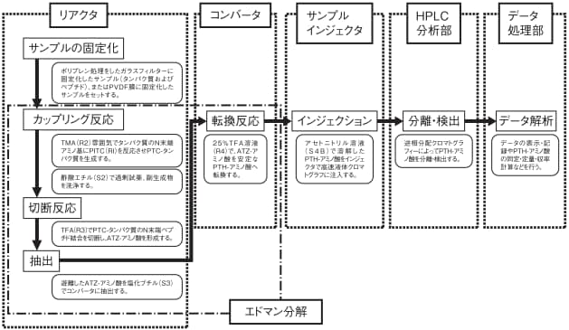 アミノ酸配列分析のフローチャート1