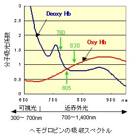 fNIRS計測原理：ヘモグロビンの吸収スペクトル