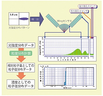 光強度の検出とデータ処理の流れ