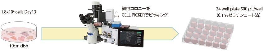 作業フローのイメージ