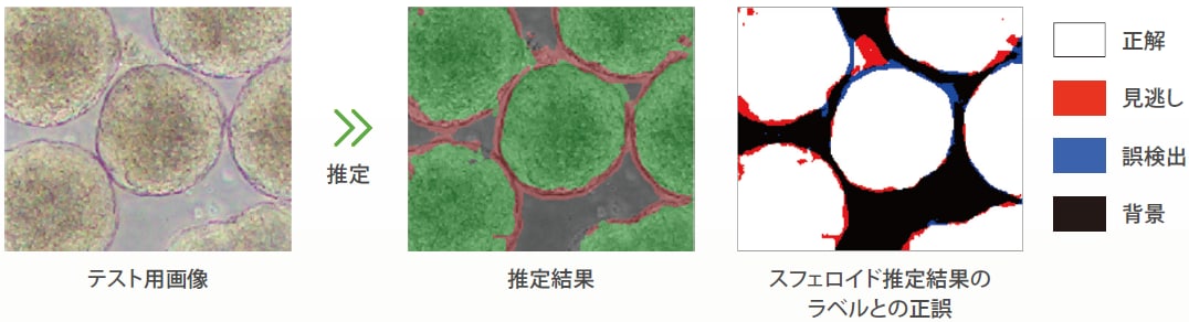 学習、性能評価