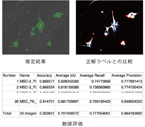 学習済みモデルの評価