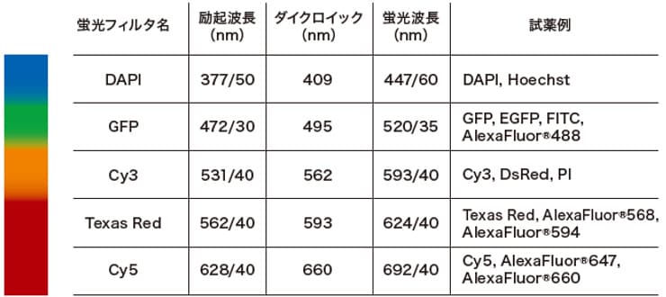 5ch 励起光に対応した蛍光撮像・解析機能