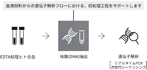 核酸抽出システム EluNA　遺伝子　解析フローにおけるサポート工程