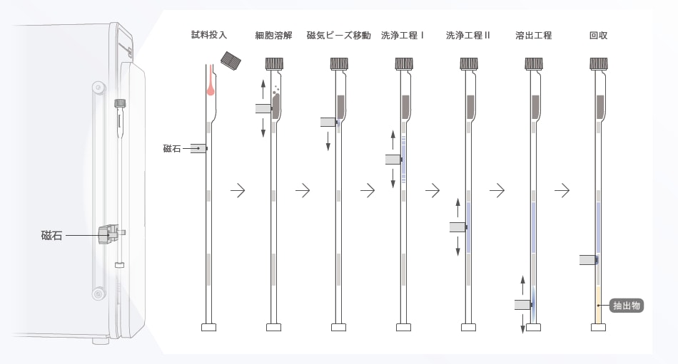 抽出の工程