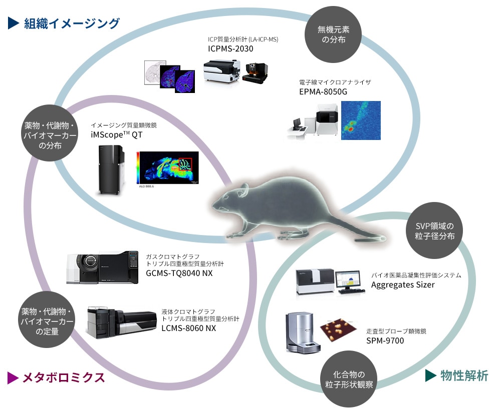 投与薬物の物性評価から薬物や代謝物の分布・定量によるメタボロミクスまで