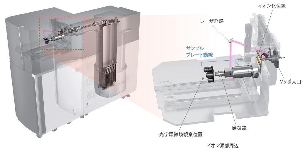 高性能で革新的な分析システム