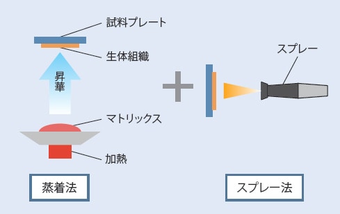 二段階蒸着法による 空間分解能と感度の両立