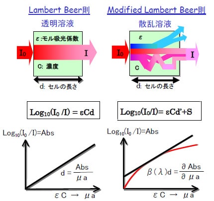 fNIRS計測原理:Modified Lambert Beer則