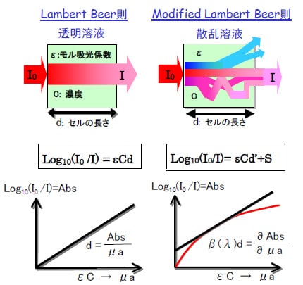 fNIRS計測原理：Modified Lambert Beer則