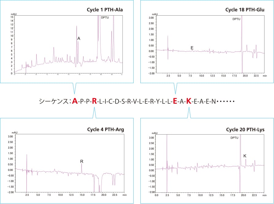 エリスロポエチン（2pmol）の分析