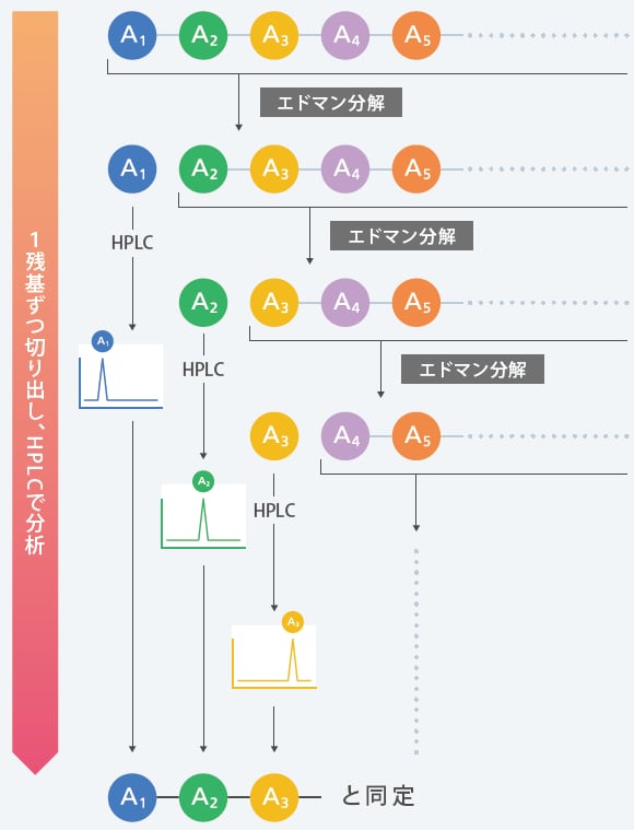 プロテインシーケンサとは