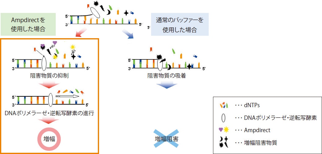 Ampdirectの原理