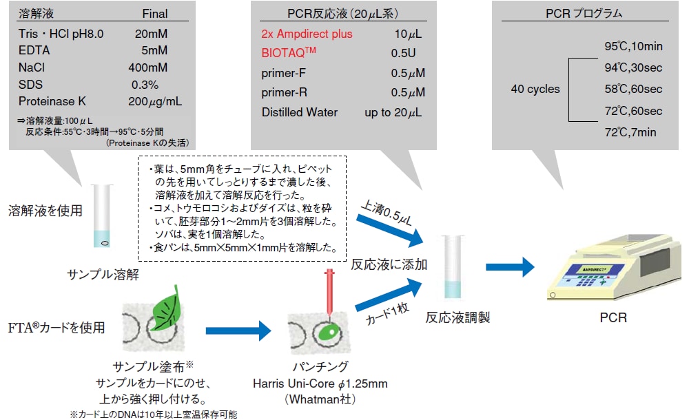 植物からの簡便PCR実施例