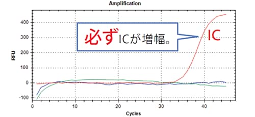 陰性の場合