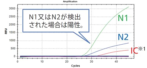 陽性の場合