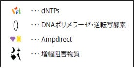 Ampdirect Technology