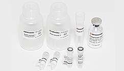 モノクローナル抗体定量用 LC/MS/MS 前処理キット nSMOL Antibody BA kit