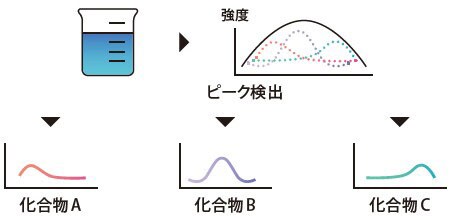 化合物候補の検出