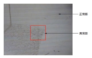 図5　フィルム表面以上部の顕微鏡写真 写真中赤枠：100×100μm