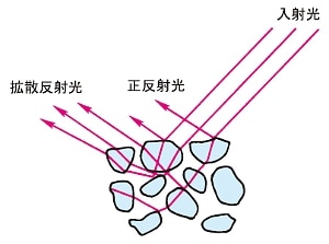 粉体試料での光拡散の模式図