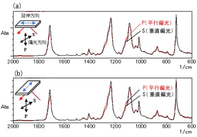 一回反射ATRによる偏光測定　無延伸PETフィルム