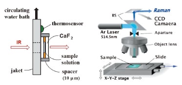 図2 FT-IRおよび顕微ラマン分光光度計による温度応答性高分子溶液の測定の概念図