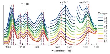 図6 MeOH-d4/D2O中のpoly(N-tetrahydrofurfuryl  methacrylamide)のIRスペクトル