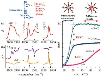 図9　PdMMAEAPS-b-PdEAのミセル‐逆ミセル転移の解析