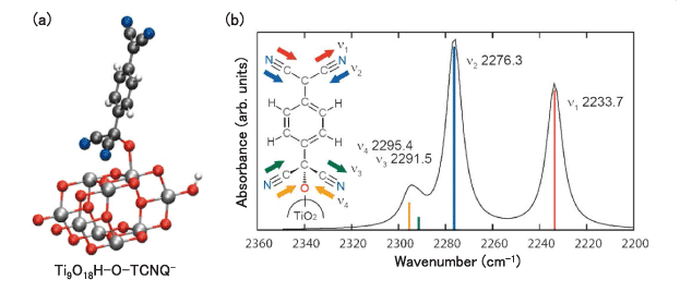 図3.（a）DFT計算で用いた界面錯体のモデル化合物と（b）IRスペクトルの計算結果  挿入図：C≡N伸縮振動モード