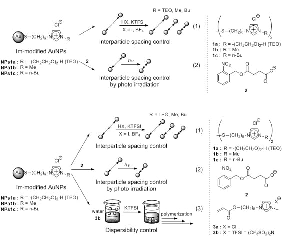 スキーム2. イミダゾリウム修飾金ナノ微粒子の凝集制御。