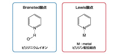 図1 固体表面の酸点に吸着したピリジン