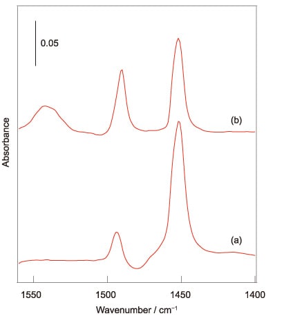 図3　γ-アルミナ（γ-Al2O3）とアルミナ担持酸化タングステン（WO3/Al2O3）に吸着したピリジンのIRスペクトル