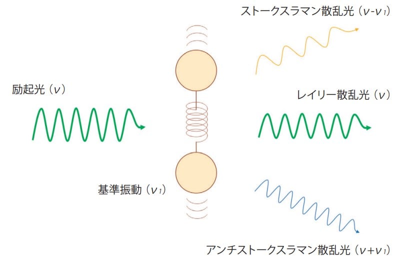 ラマン散乱と分子振動の関係