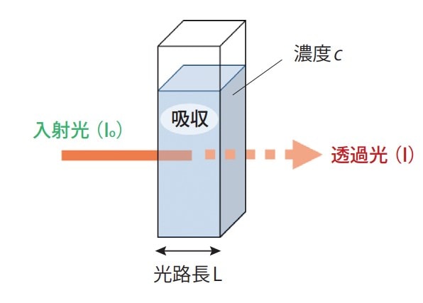 透過の模式図