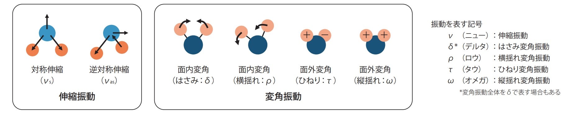 分子の基準振動
