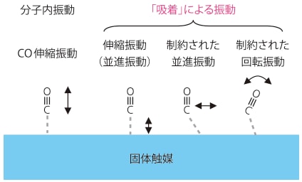 図1 吸着したCOの振動モード