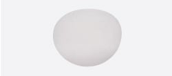 PTFE