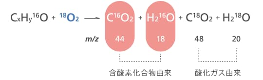 酸化ガスが18O2 の場合