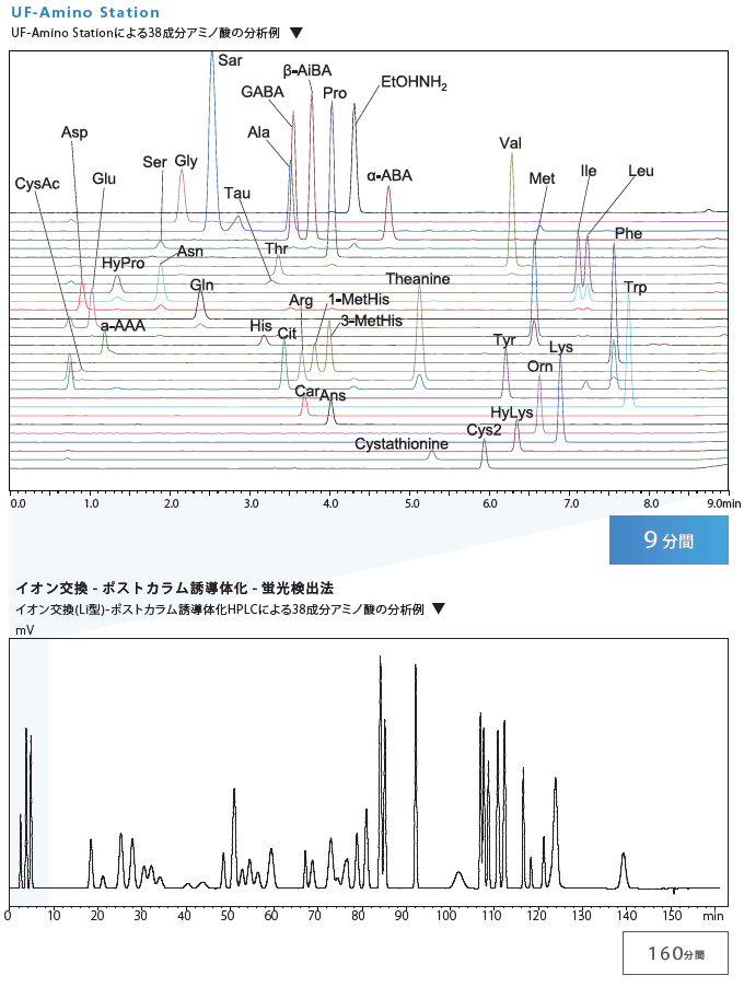 38成分アミノ酸の分析例