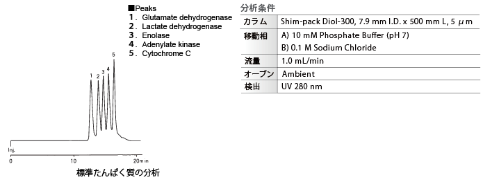 標準たんぱく質の分析