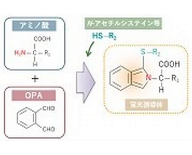 選択性の高い検出手法